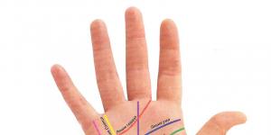 اسرار کف بینی: کدام دست برای فال گیری استفاده می شود